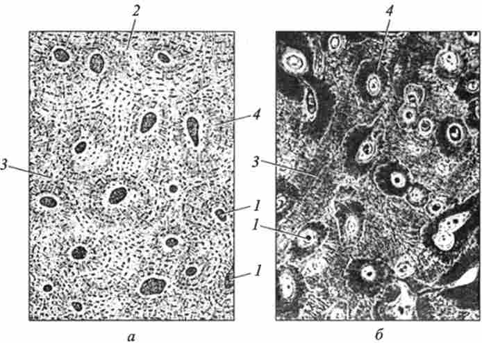 ���������� ����� ������������ ��������� �����