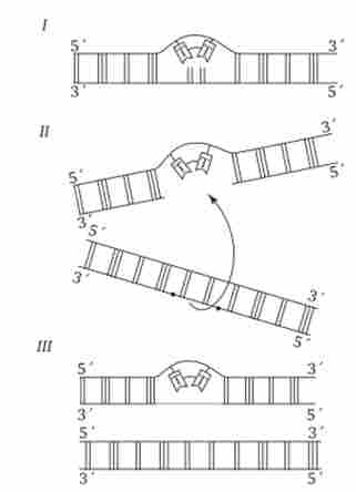 ����� ��������������� ��������� ���