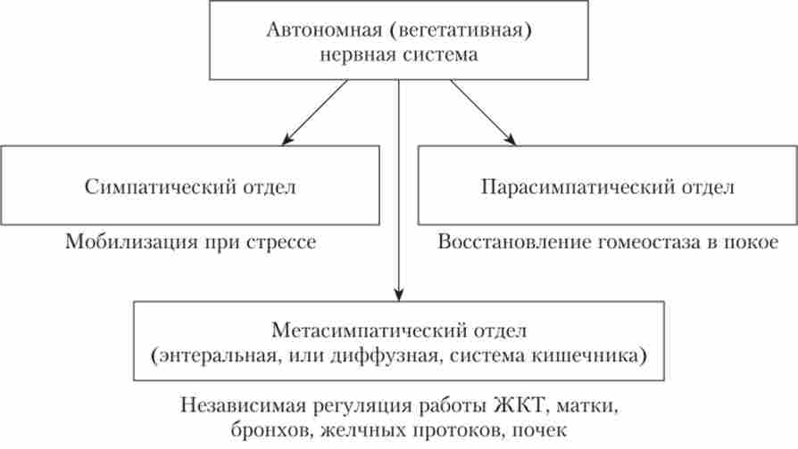 ������� �������� ��� ����������� ����������� (���������) ������� �������