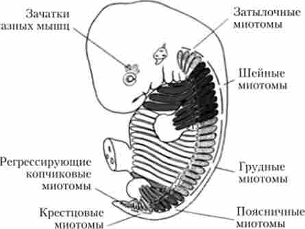 ������� ���������� ��������� �'��� �� ������ ������