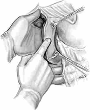 �������������� ����� ����� � �������� ���������� ������ ���� ������������ �� ����������������������, � ����������� ��������� ����������� �������