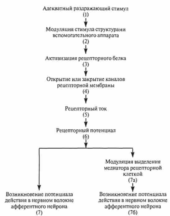 ������������ ���� � ����������� �������� ��� ��������� ������� �������