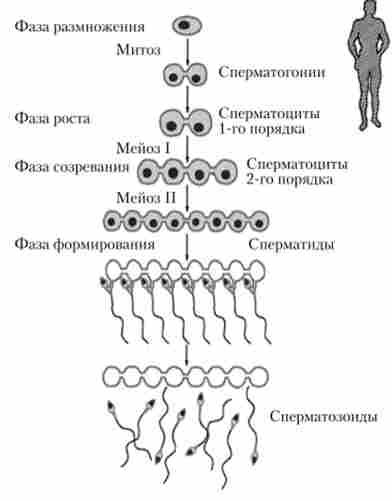 ���䳿 ��������������