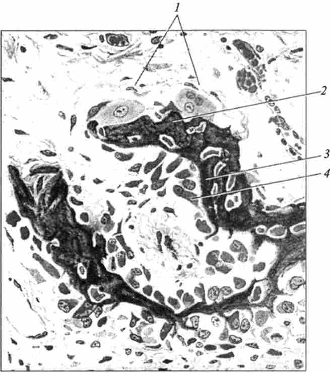 ���������� � ��������� �� ���� ���������