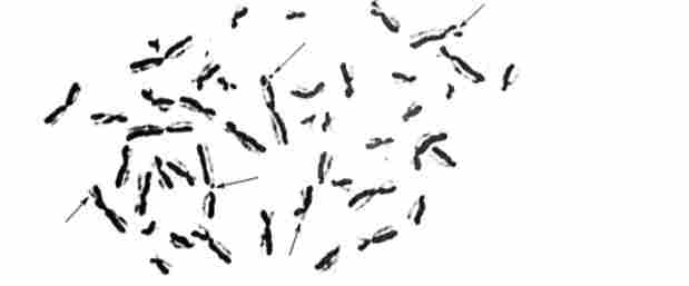 ������������� �����