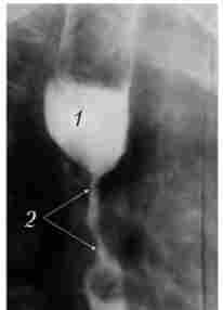 ������������� ���������������� ���������� ����������