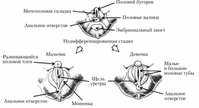 ����� ���䳿 �������� ��������� �������� �������