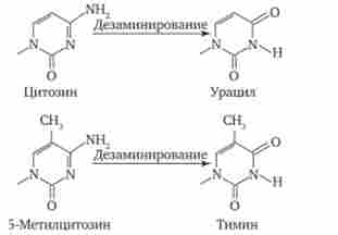 ��������� ������������ ��������