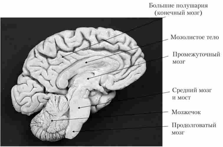 ������������ ����� ��������� ����� � ����������� �������� �����