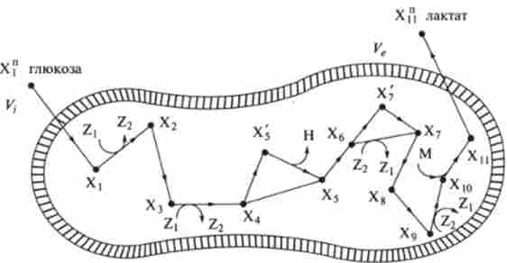 ������������ ������� � ��� ������� ������� (������) � �����������