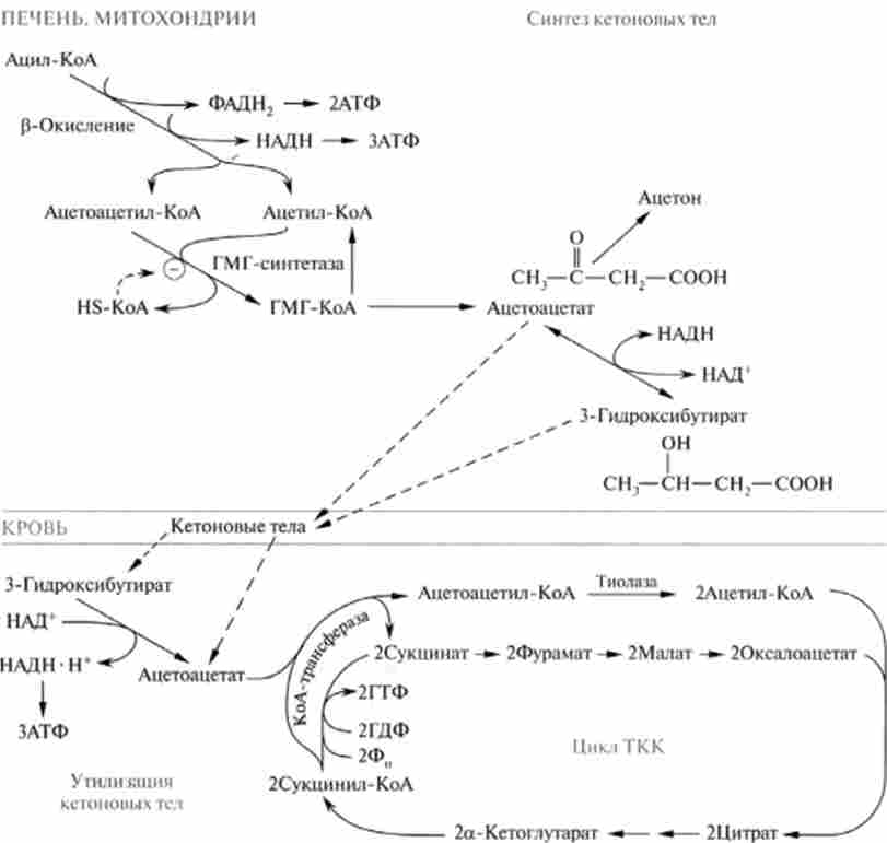 ��������� ��������� ��