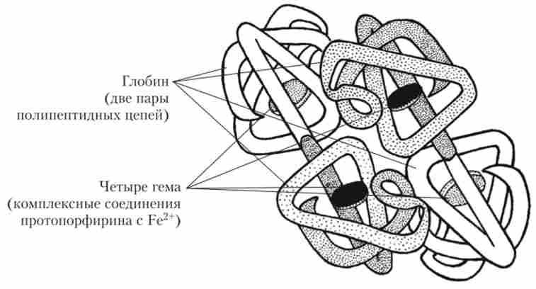 ������ �������� ����������