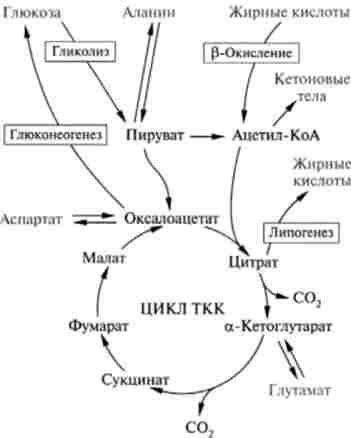 ������������ � ������������� ������� ����� ������������� ������