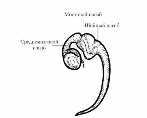 ������ ������� ��������� ����� (�'���� ������� ��������)