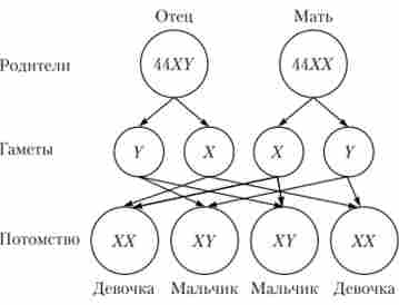 ���������� ���������� ���� ��� ����������