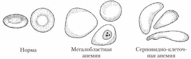 ���� ����� ���������� ��� ����� ����� ���쳿