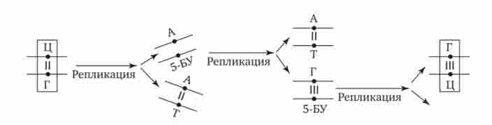 ������� �� ����� ����� ������ (��������� ������� ���������� ������� ��� ��������� ���)