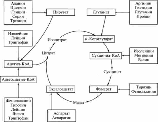 ����� �������� ���������� ������� ���������� � ���� ������