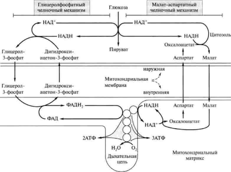 ���������������� � �����-������������ �������� ��������� ���������� ���� ����� �������� �������� ���������