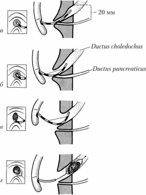 ���������� ���������� ������������� ��������� �� �������� ������������� �������