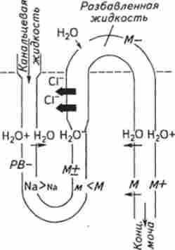 ����� ������������� �� ��������� ���� �����