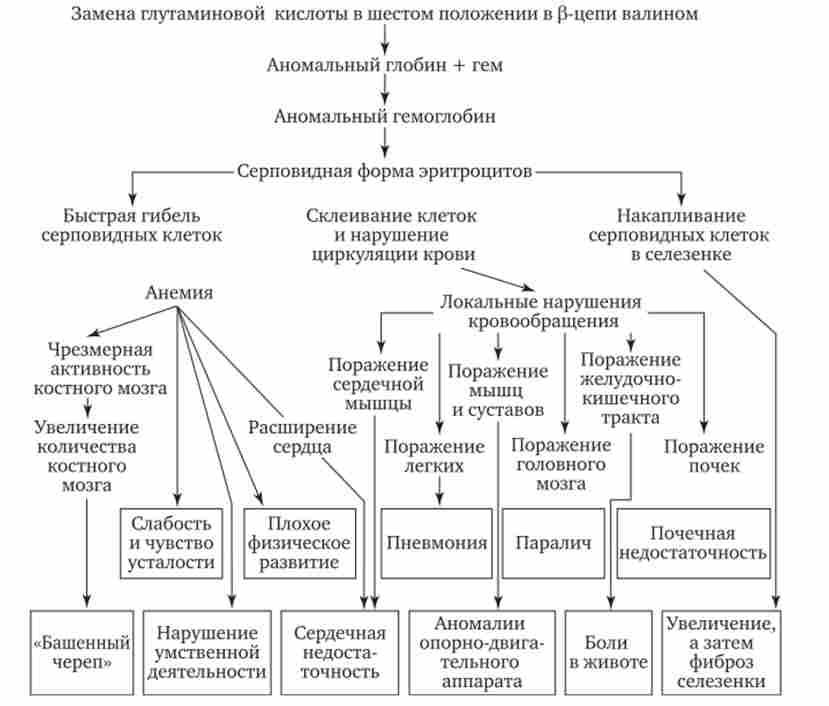 ������������ ����� ����� ������ ����������� �