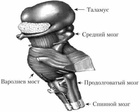 ������� � ��������� �����