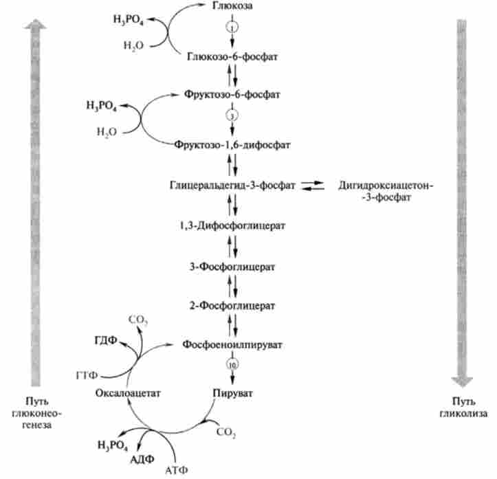 ���������� ���������� ����� ������� � ��������������