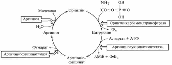 I (��� ������������������