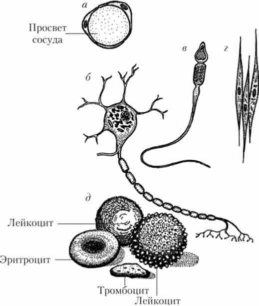 г������������� ����� ���������