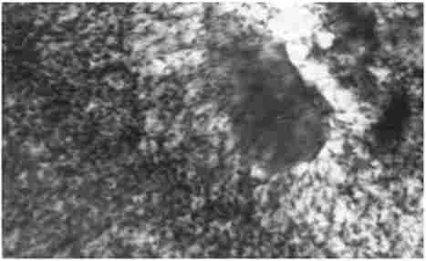 ������� ������� � ����� ���������� �����������, ����� ���� ���� ������ ������. ����������� ������������� � �������