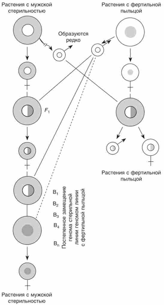 ����������� ������� ����������� � ��������� �� ����������� ����