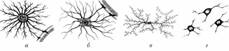 ������� ���� �������� �����