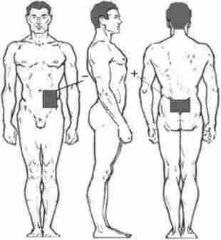 ����������������� �'��� ���������