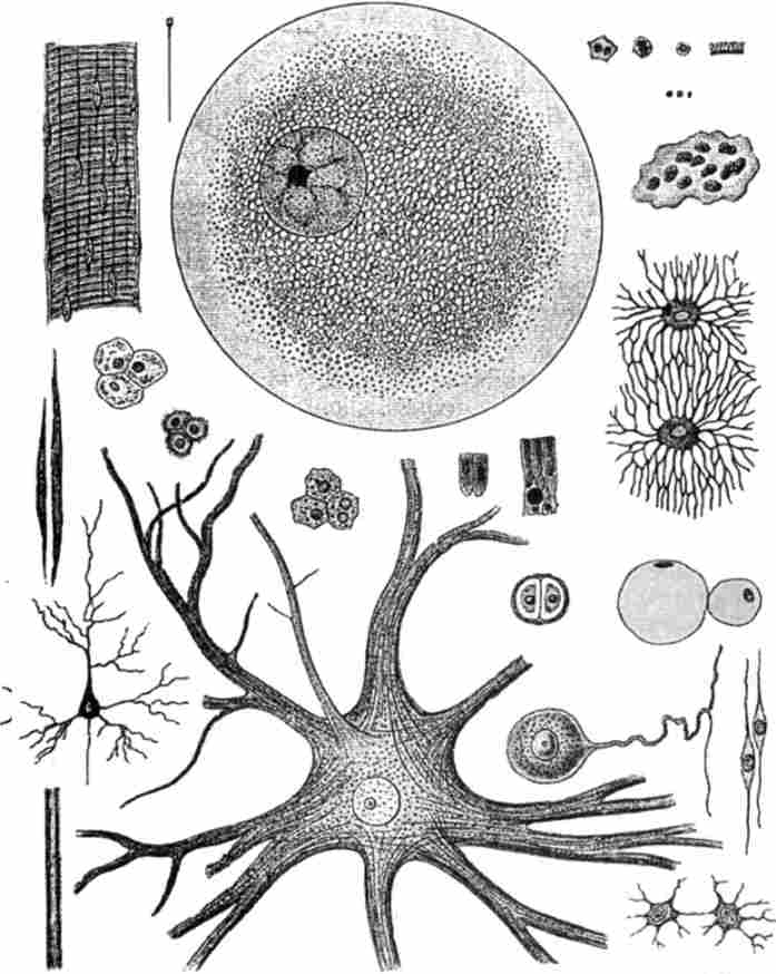 г���������� ���� � ���� ����� � ����������� ��������