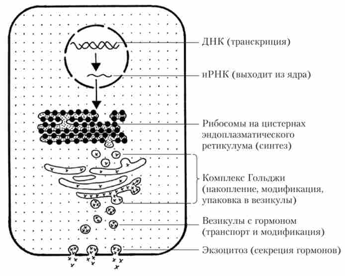 �������� ��������� � �������� ��������� ��������