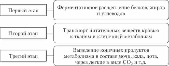 ����� ����� �������