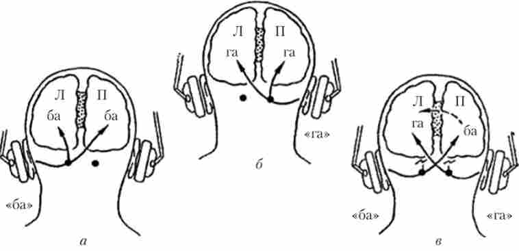 ����� ����������� ���������������