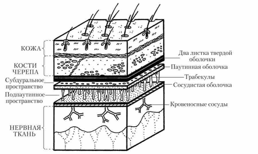 �������� ��������� �����
