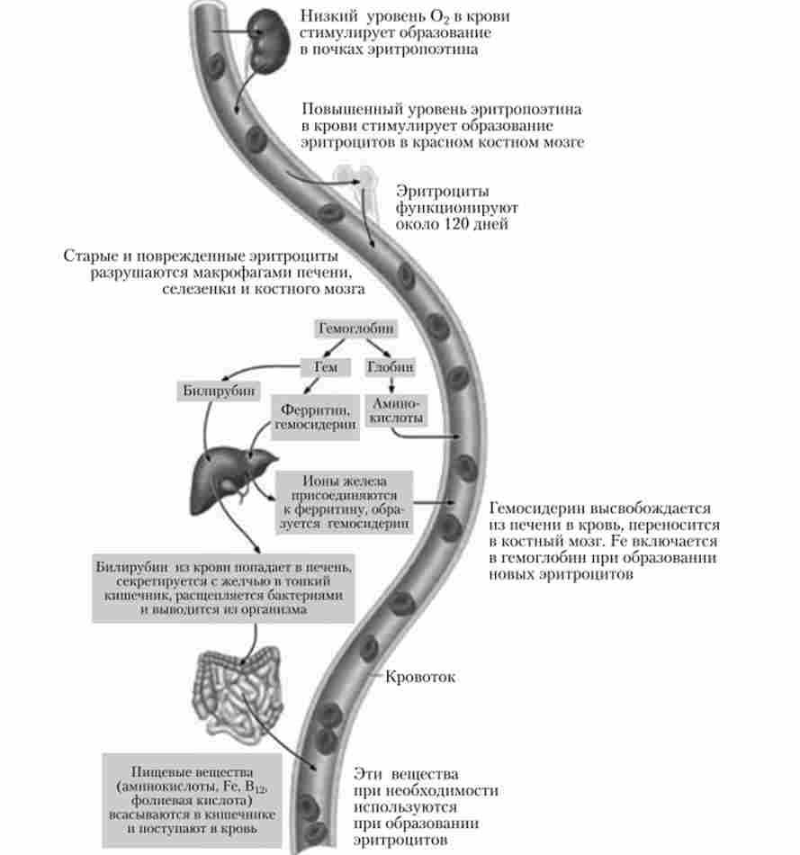 ��������� ��������� ����������