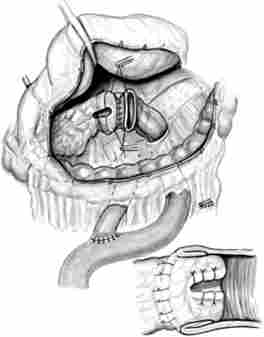 �������� �������-I. ���������� ������������������������� � ������ ���� �����, ��������� � ��, ���� ��������� �������� ���������� ������