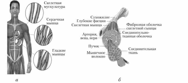 ҳ�� �'��� � �� ������