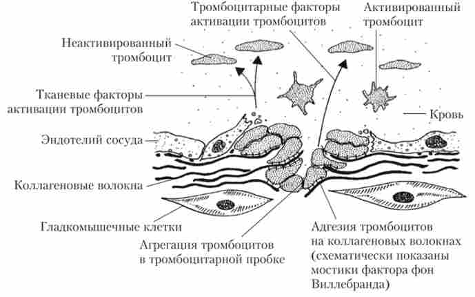 ����� �������������� ������ (����� ������) � ���� ����������� ������