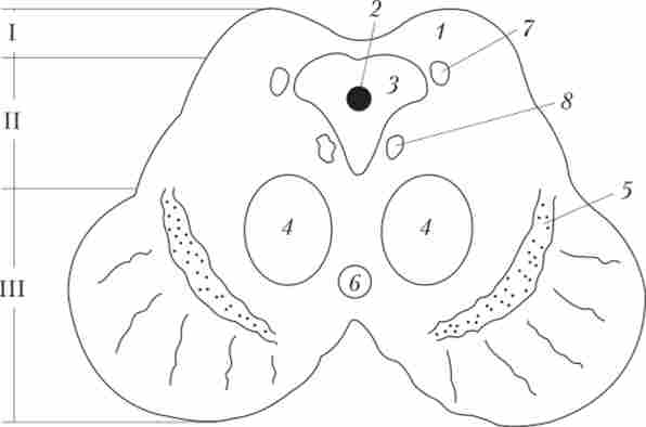 ���������� ����� ����� �������� ����� �� ���� ������ ������