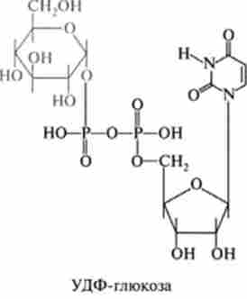 ������ ��������