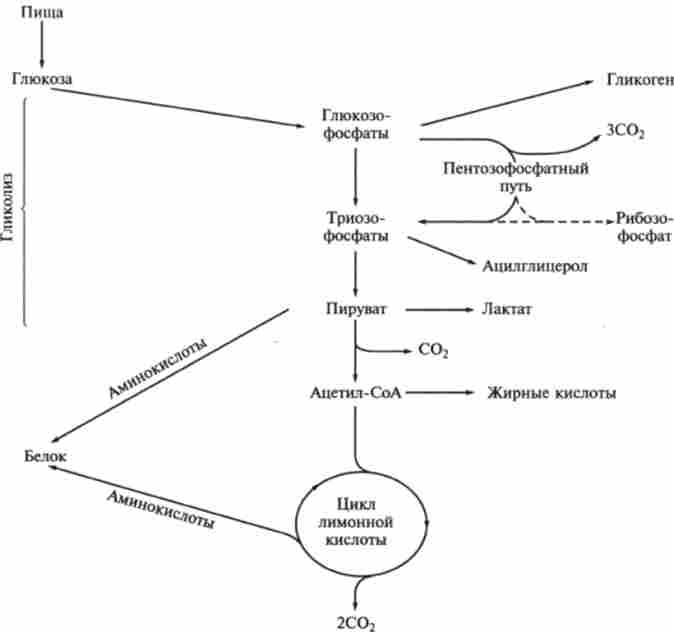 �������� ����� ���������� ��������� �� ����������� �������� ������� ��������