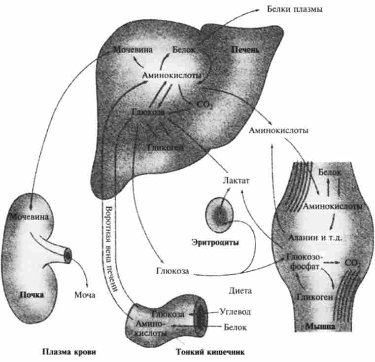 / 0. ������� � �� ��������� � �������� ������������