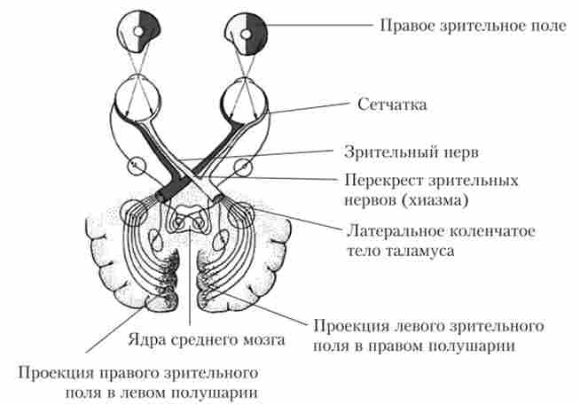 ����������� ������� ��������� ������