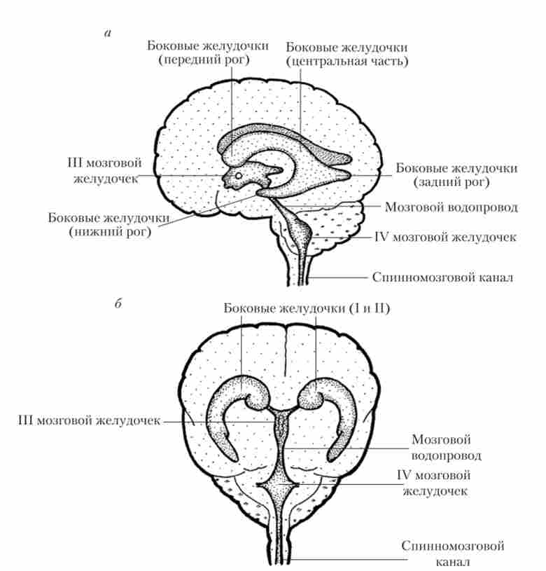 �������� ��������� �����