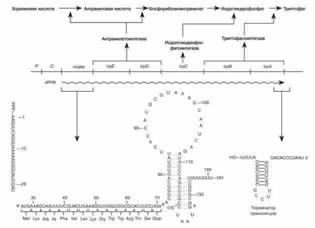 �������������� ������ �. ���